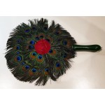 Peacock Feather Fan 2